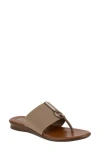 Italian Shoemakers Lillee Flip Flop In Light Grey/taupe