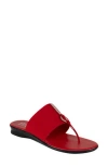 Italian Shoemakers Lillee Flip Flop In Red