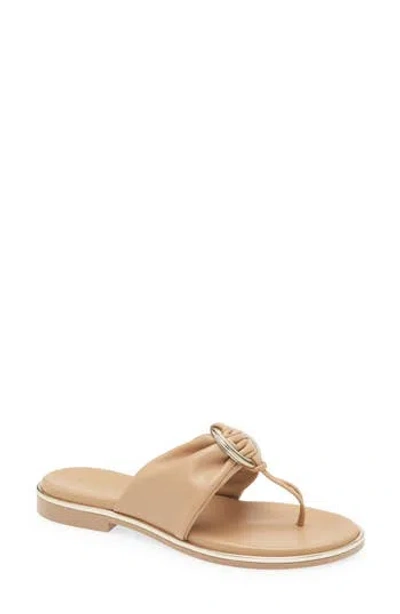 Italian Shoemakers Martie Flat Sandal In Brown