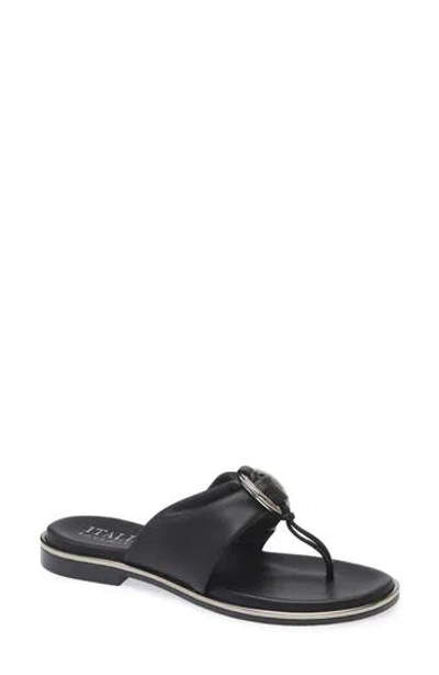 Italian Shoemakers Martie Flat Sandal In Black