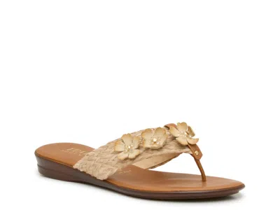 Italian Shoemakers Warwick Sandal In Brown