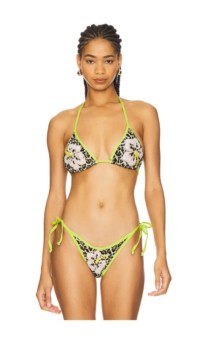 It's Now Cool The Triangle Duo Bikini Top In Gallipoli