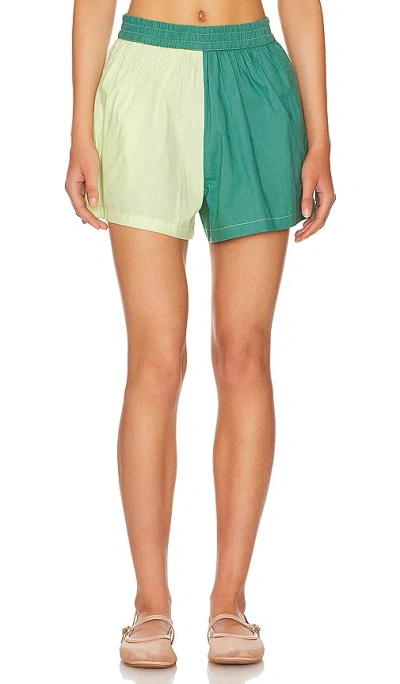 It's Now Cool The Vacay Short In Shapeshifter