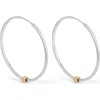 Ivi Los Angeles Large Joia Slim Hoop Earrings