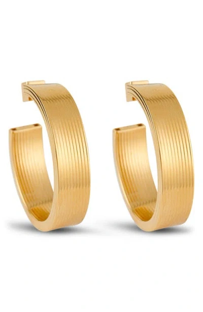 Ivi Los Angeles Large Signora Hollow Hoop Earrings In Gold