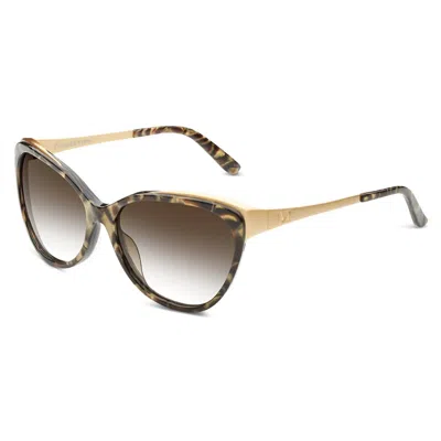 Ivi Vision Women's Daggerwing Sunglasses In Tigers Eye - Brushed Gold / Bronze Gradient Lens In Brown