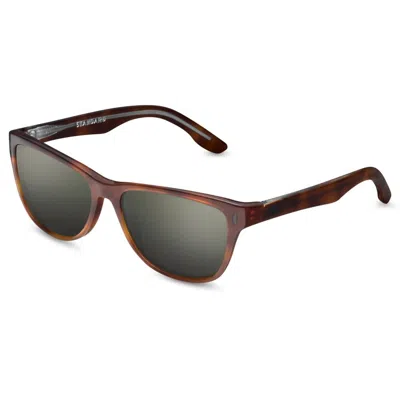 Ivi Vision Women's Standard Sunglasses In Polished Classic Tortoise / Green Grey Lens In Brown
