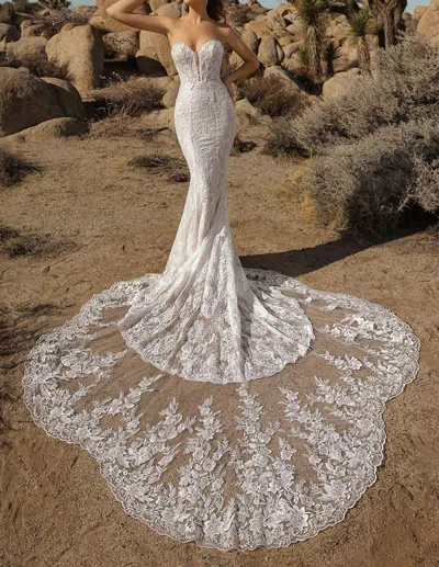 Ivoire By Kitty Chen Glenda Sheer Mesh Dress In Ivory/toffee In White