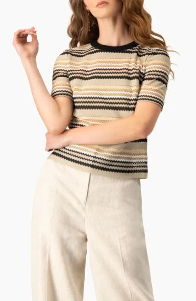Ivonne Chevron Stripe Crochet Knit Top, Short Sleeve Textured Crew Neck In Multi