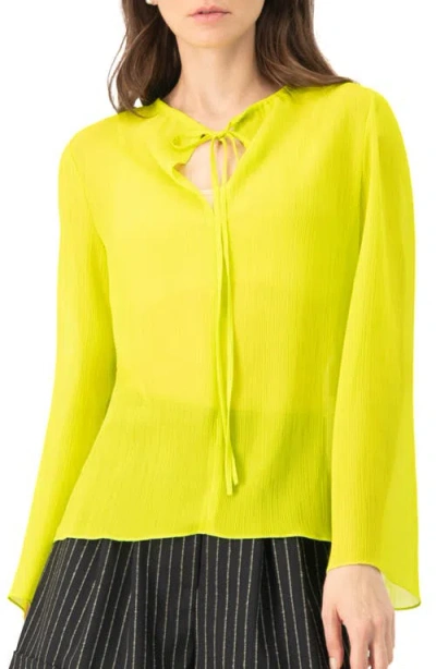 Ivonne Long Sleeve V-neck Tunic Blouse In Green