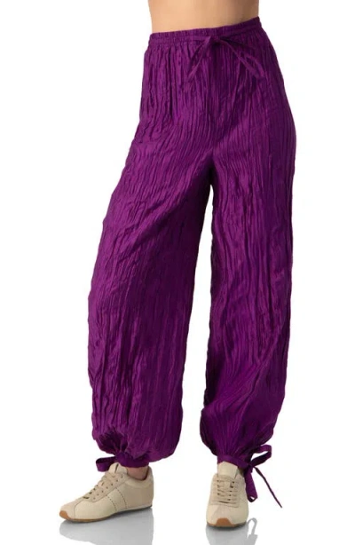 Ivonne Pleated Pants With Ankle Ties In Purple
