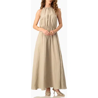 Ivonne Sleeveless Crinkle Halter Maxi Dress With Cinched Waist A-line In Brown