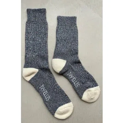 Ivy Ellis Yosemite Voyager Socks In Grey