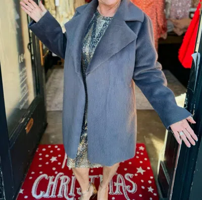 Ivy Jane Faux Fur & Suede Coat In Grey