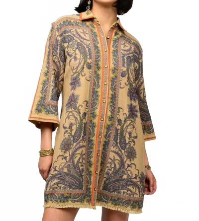 Ivy Jane Paisley Border Shirtdress In Tan In Multi