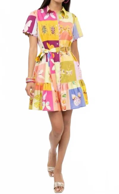 Ivy Jane Square Dance Dress In Multi Color