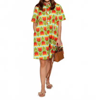 Ivy Jane Swing Shirt Dress In Multi Color In Green