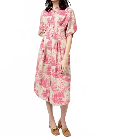Ivy Jane Toile Tucked Dress In Pink