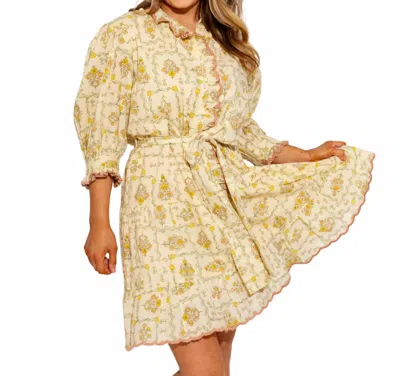 Ivy Jane Trellis Flowers Mini Dress In Warm Ivory In Brown