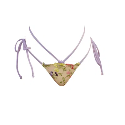 Ivy Swimwear Women's Pink / Purple Aster In Lavender Bikini Bottoms In Pink/purple