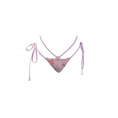 Ivy Swimwear Women's Pink / Purple Aster In Pink Plaid Bikini Bottoms In Pink/purple