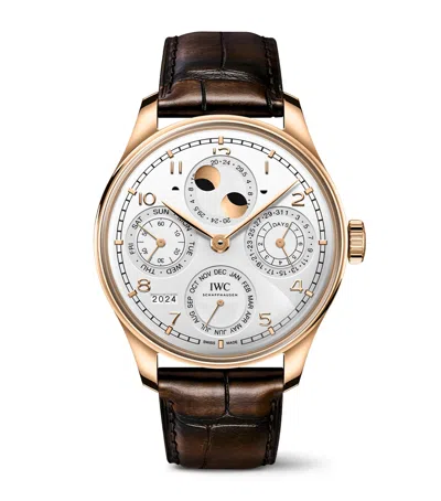 Iwc Schaffhausen Rose Gold Portugieser Perpetual Calendar Watch In Brown
