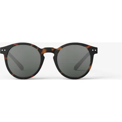 Izipizi #m 52mm Pantos Sunglasses In Gray