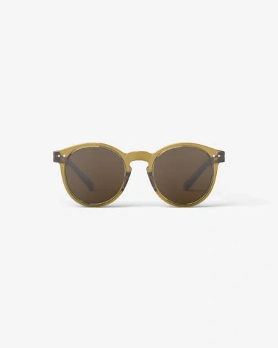 Izipizi #m 52mm Pantos Sunglasses In Multi