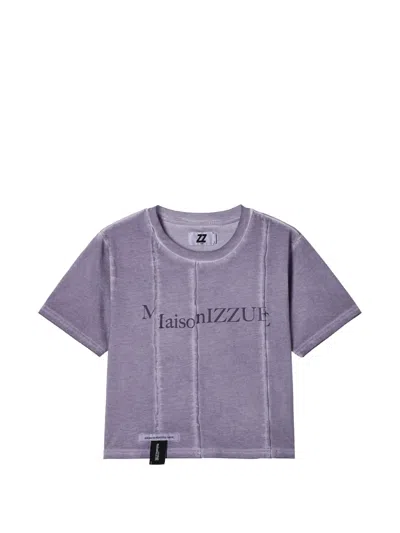 Izzue Panelled Crew-neck T-shirt In Gray