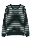 Izzue Striped Crew-neck Sweater In Green