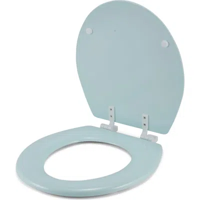 J&v Textiles J And V Textiles Round Wooden Toilet Seat In Green