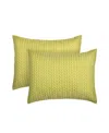 J By J Queen Cayman Quilted Sham, Standard In Chartreuse