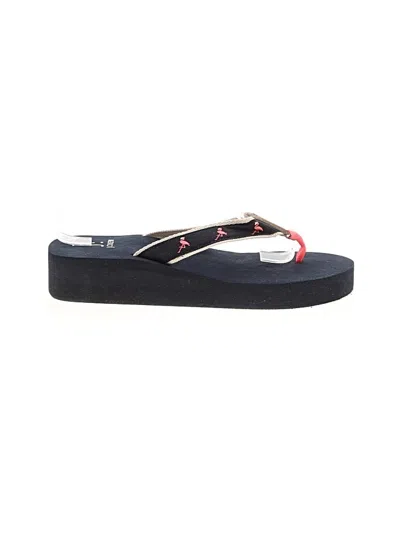 Pre-owned J. By J.crew Flip Flops In Blue