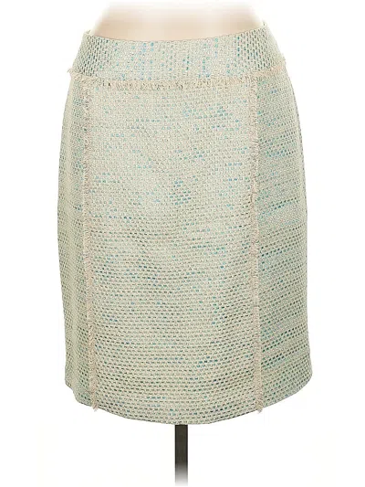 Pre-owned J. Mclaughlin Casual Skirt In Blue