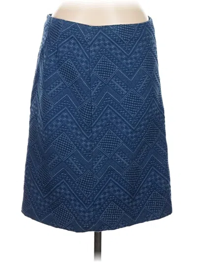 Pre-owned J. Mclaughlin Casual Skirt In Blue