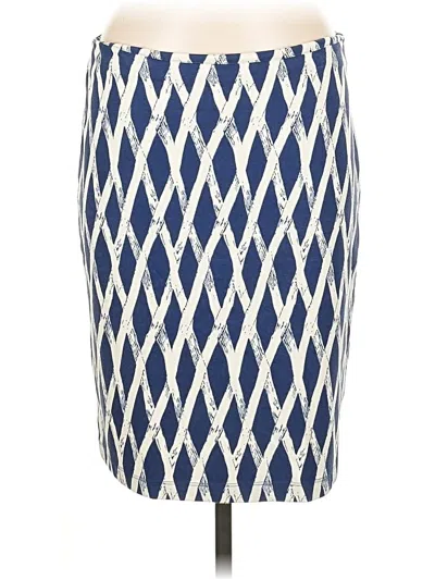 Pre-owned J. Mclaughlin Casual Skirt In Blue