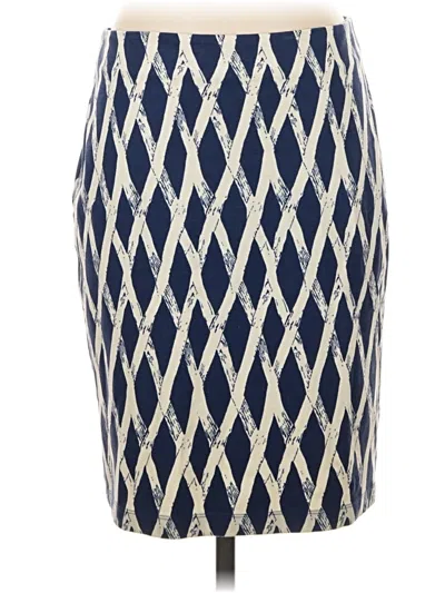 Pre-owned J. Mclaughlin Casual Skirt In Blue
