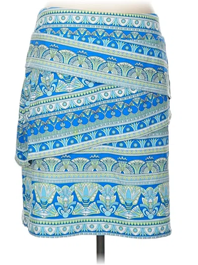 Pre-owned J. Mclaughlin Casual Skirt In Blue