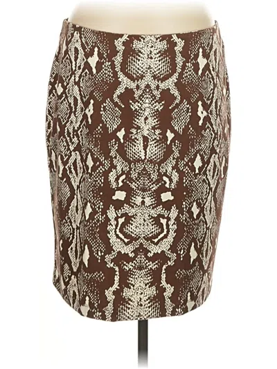 Pre-owned J. Mclaughlin Casual Skirt In Brown