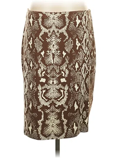 Pre-owned J. Mclaughlin Formal Skirt In Brown