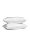 J Queen New York Premier 300 Thread Count Sateen 2-pc. Pillowcase, King In White