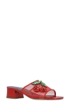 J. Reneé Cherry Slide Sandal In Multi
