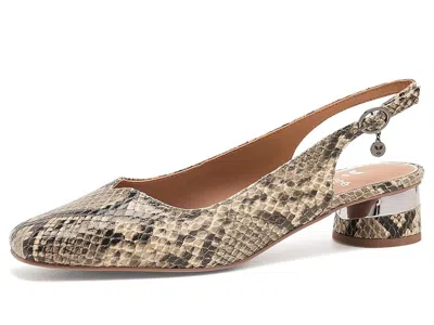 J. Reneé Taveta Slingback Pump In Animal Print