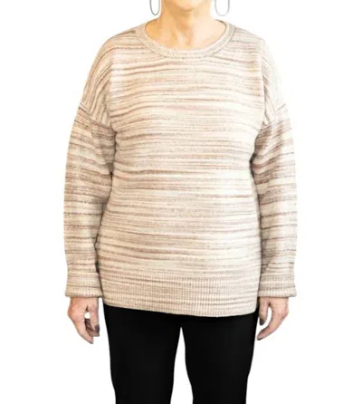 J. Society Easy Crew Sweater In Sandcmbo In Multi