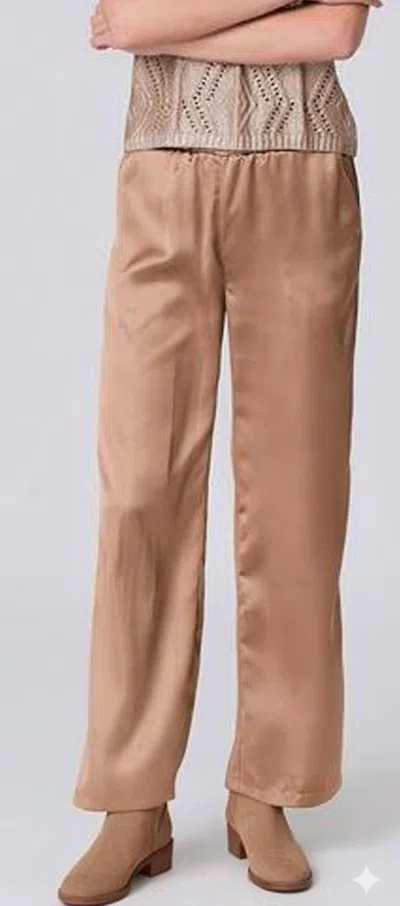 J. Society Women's Straight Pant In Cappucchino In Pink