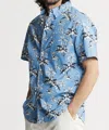 Jachs New York Bay Oxford Short Sleeve Shirt In Blue Palm Tree In Blue