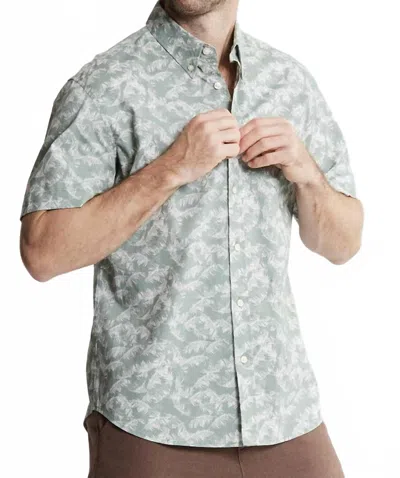 Jachs New York Bay Oxford Short Sleeve Shirt In Green Leaf Bay In Gray