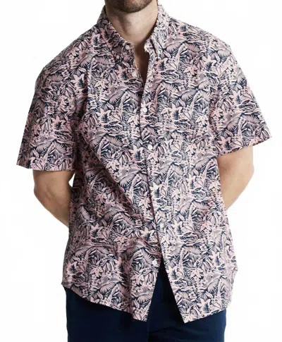 Jachs New York Bay Oxford Short Sleeve Shirt In Pink Tropical Bay In Neutral