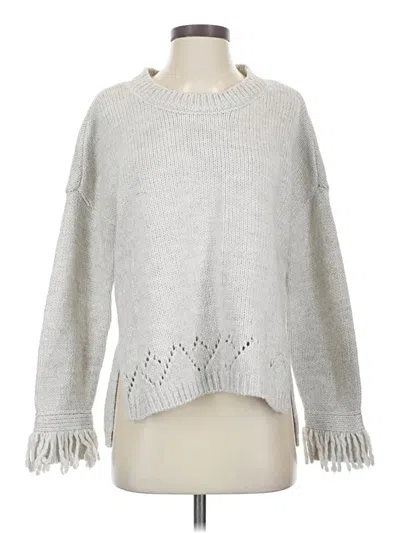 Pre-owned Jack By Bb Dakota Pullover Sweater In Silver