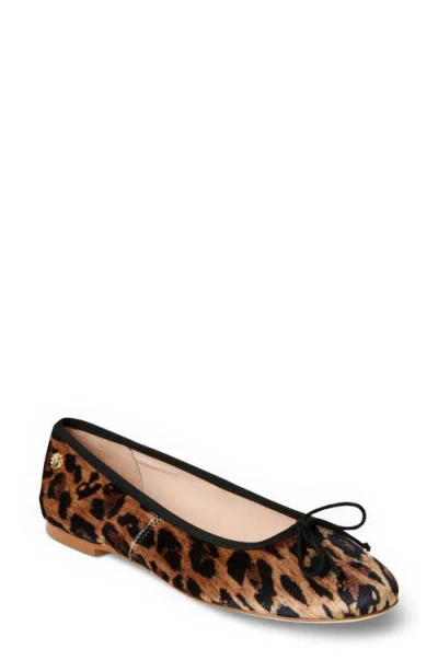 Jack Rogers Bettie Velvet Ballet Flat In Brown